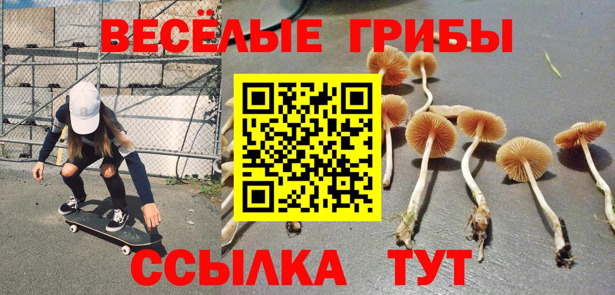 Псилоцибиновые грибы Magic Shrooms Сатка