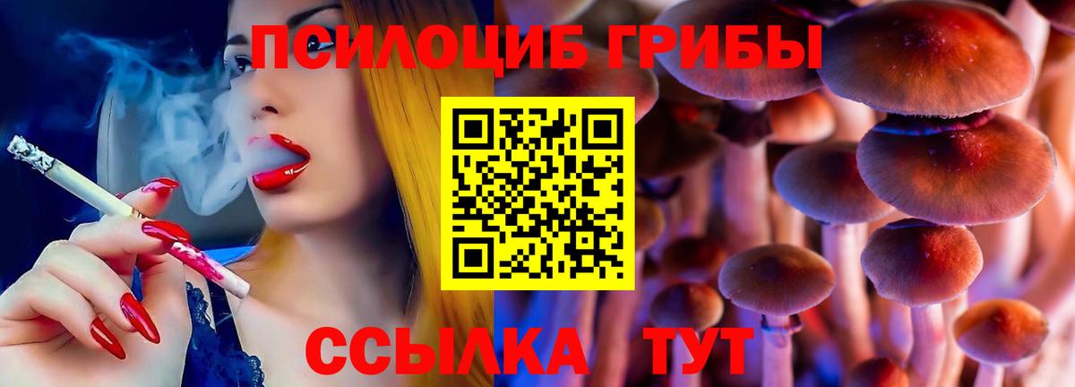 Сатка  Галлюциногенные грибы мицелий  что такое наркотик  Псилоцибиновые грибы Cubensis  Вход с VPN 
